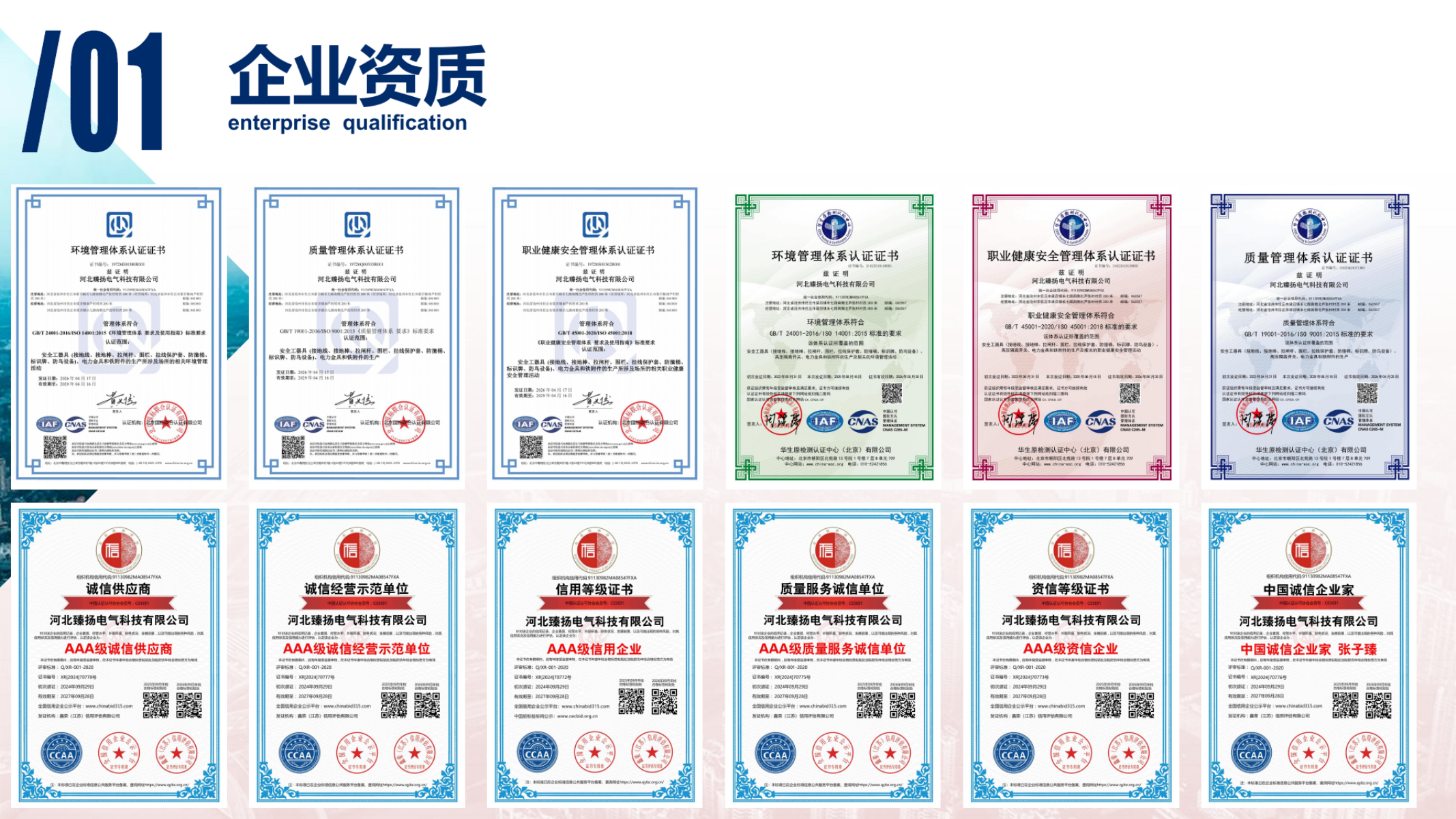 Enterprise Qualification
